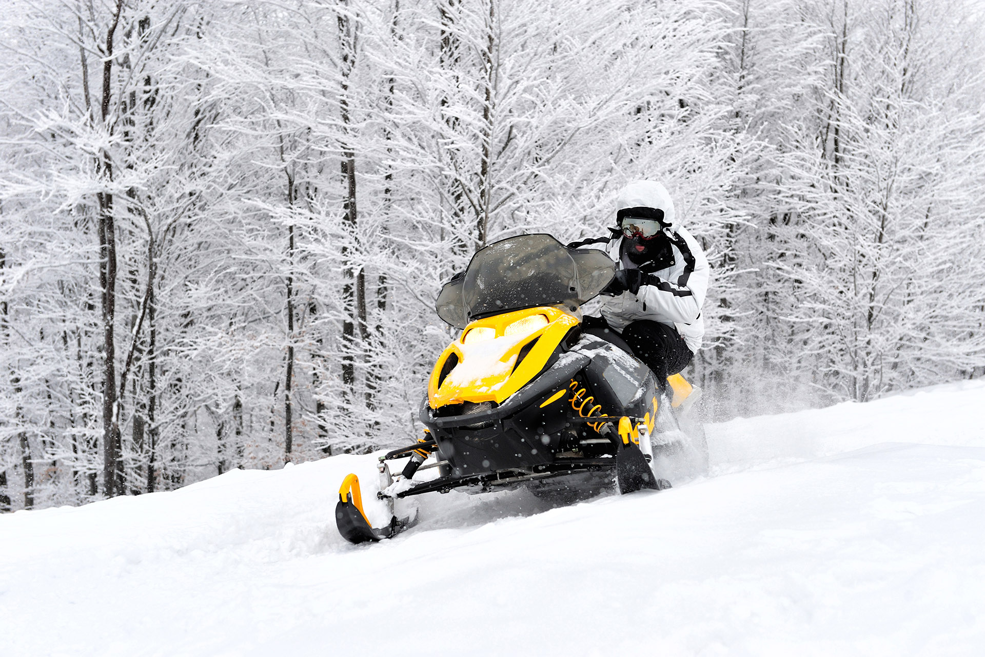 Snowmobile on fresh snow with snow covered trees in background